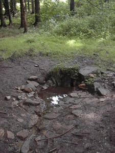 2001.08.05 15.21.00.jpg